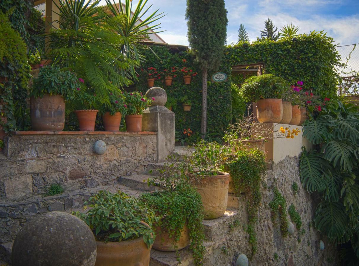 Las Terrazas Hotel San Miguel de Allende Exterior photo